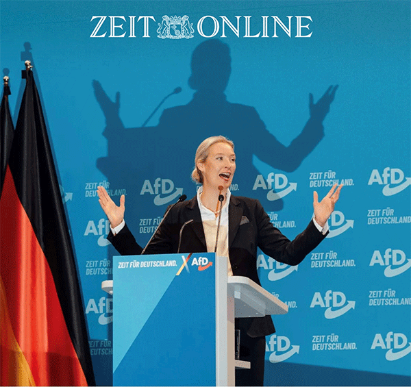 nem-afd-vajdel-s